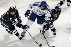 开云官网-战队打造品牌文化建设提高粉丝认同感